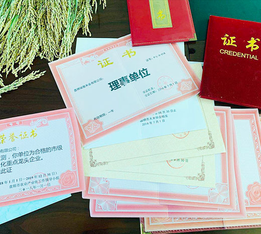  盤(pán)錦綠傲米業(yè)有限公司簡(jiǎn)介！